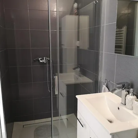 Alicja W Rynie 雷恩