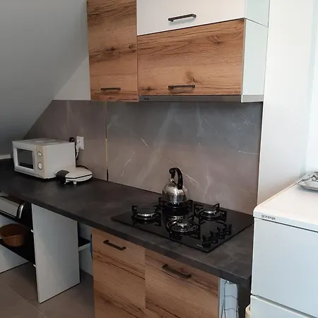 民宿 Alicja W Rynie