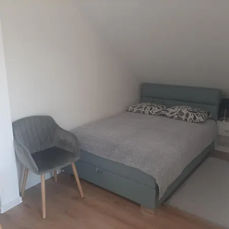 Alicja W Rynie 雷恩